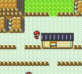 Screenshot of Pokémon Gold